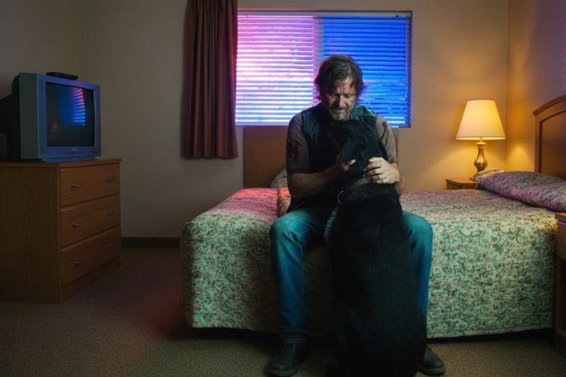 One Hidden Memory Card Took Down an Entire Trafficking Ring